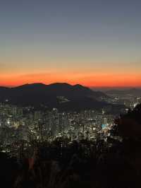 주차장에서 10분! 부산 전경을 내려다보는 무료전망대👍🏻