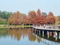 The Hong Kong Wetland Park — Nature in an Urbanscape
