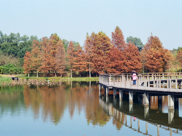 The Hong Kong Wetland Park — Nature in an Urbanscape