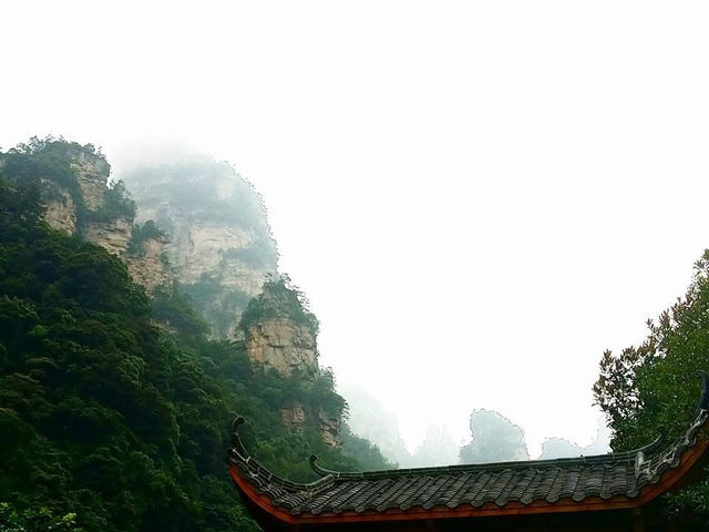 走進潘朵拉星球：張家界的震撼奇景