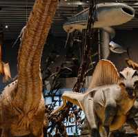 Natural History Museum - Shanghai