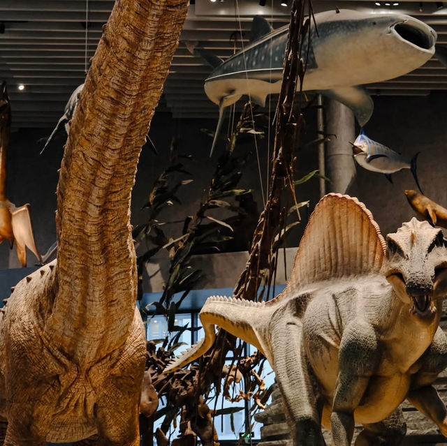 Natural History Museum - Shanghai