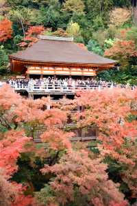 Night Photography Extravaganza -- The Kiyomizu-dera 