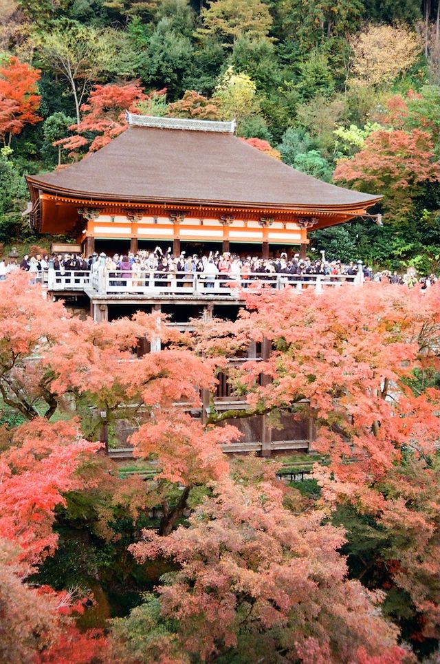 Night Photography Extravaganza -- The Kiyomizu-dera 