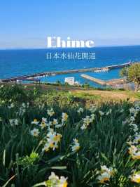 【１度は見たい格別な景色】