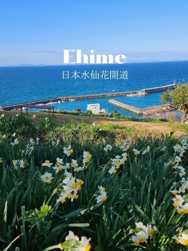 【１度は見たい格別な景色】