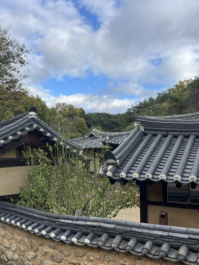 영주 무섬마을 외나무다리