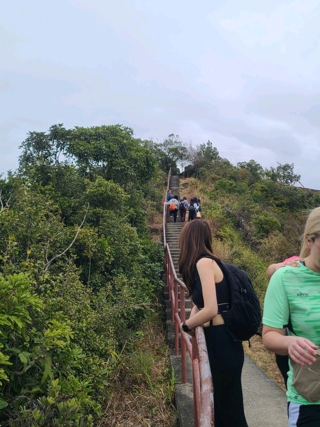 【探索油塘秘境🌄｜輕鬆登魔鬼山，飽覽維港壯麗美景！】