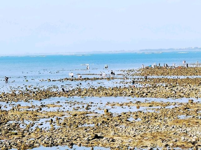放坡村浪漫趕海