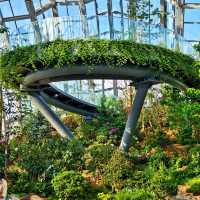 台北植物園～綠意奇幻🌿🌍