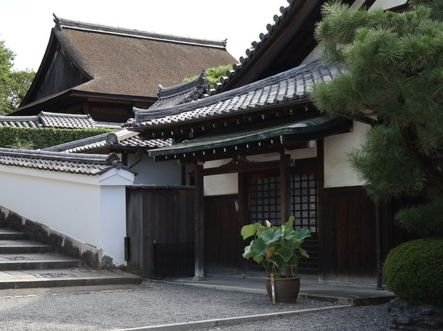 Byodoin Temple: A Timeless Treasure in Uji