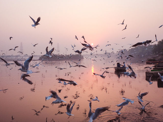 Tranquil Birdwatching Experience at Yamuna Ghat