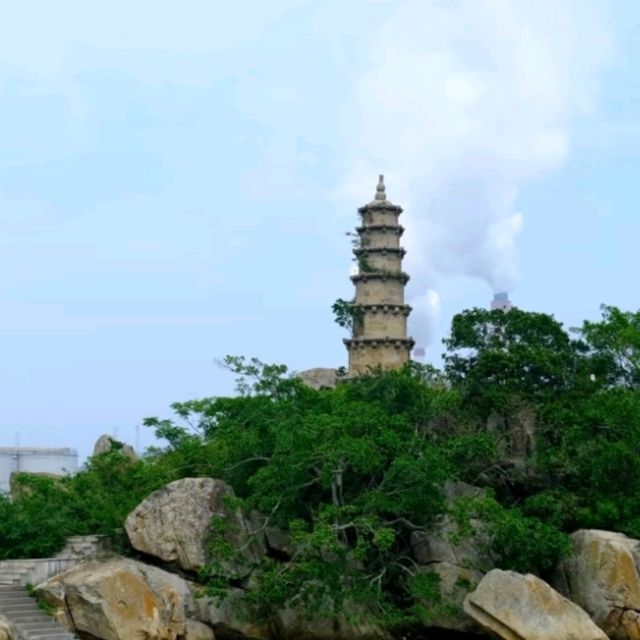饒平柘林漁港