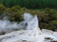 Wai-O-Tapu Thermal Wonderland นิวซีแลนด์