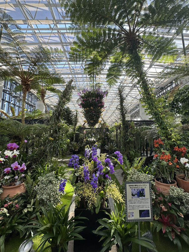 【大阪淡路島】🌵有療癒力量的奇跡之星植物園🌟
