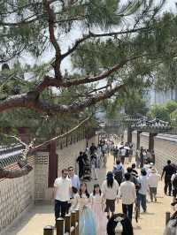 首爾｜昌德宮與景福宮 一次遊覽朝鮮王朝宮殿的歷史與哀愁