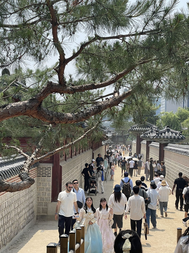 首爾｜昌德宮與景福宮 一次遊覽朝鮮王朝宮殿的歷史與哀愁