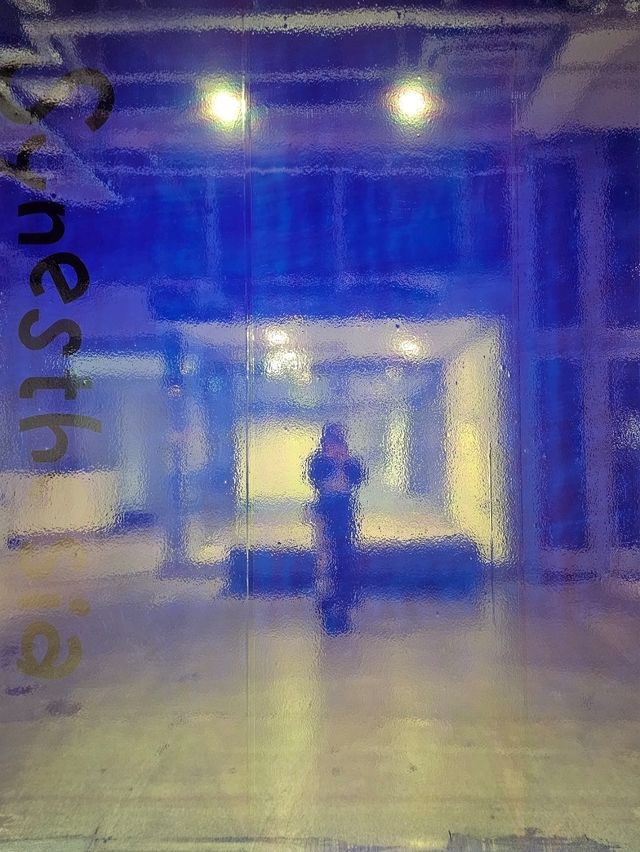 ■奥中章人「Synesthesia ーアートで交わる五感ー」展 