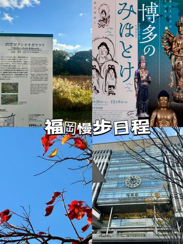 🇯🇵 福岡的一人散步的浪漫