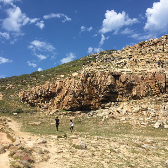 開普角之旅X壯麗美景與歷史探索