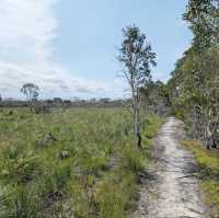 An Epic Adventure on the Cooloola Great Walk 🇦🇺
