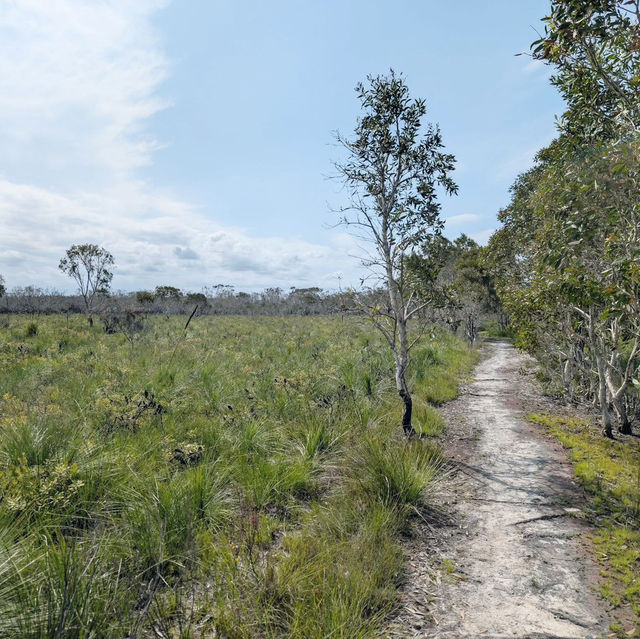 An Epic Adventure on the Cooloola Great Walk 🇦🇺