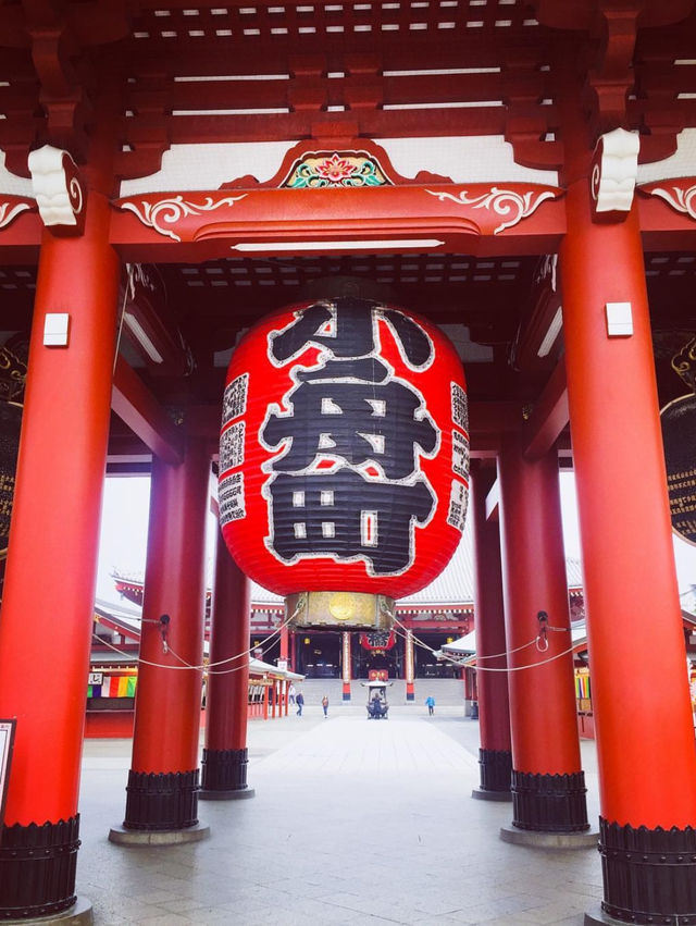 วัด Sensoji x ซากุระ ความคลาสสิกที่ต้องมาเห็น!!!