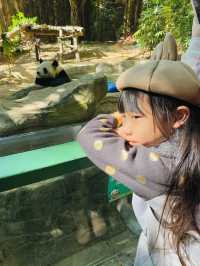 深圳野生動物園 深圳地鐵直達～零距離餵長頸鹿斑馬！ 