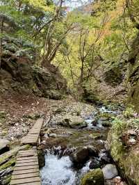 【山梨県】浄化のパワースポット！板敷渓谷