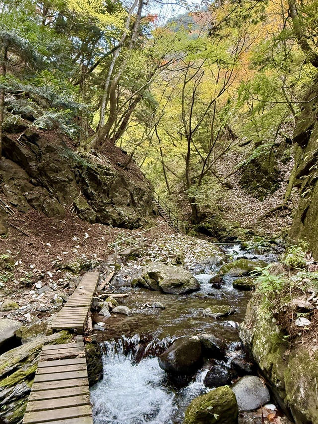 【山梨県】浄化のパワースポット！板敷渓谷