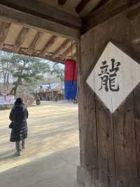 서울근교 가볼만한곳!! 용인 한국민속촌의 겨울나들이⛄️(+입장료정보)