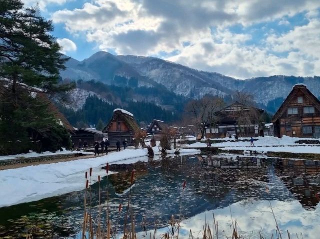 まるで絵本の世界！四季折々の美しさが広がる白川郷