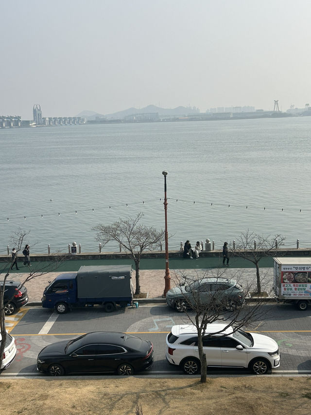 시원한 바다뷰와 함께 즐기는 커피타임🪴🩵 목포 카페추천!