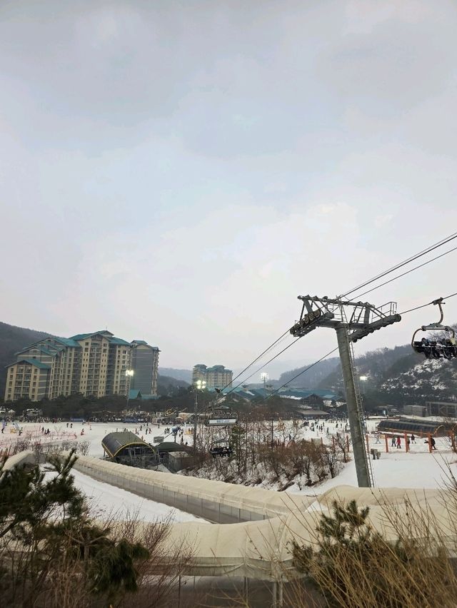 ❄️겨울 야외데이트 추천 스키&썰매장❄️