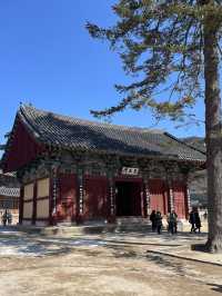 충북 보은 여행 유네스코 법주사 