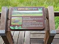물영아리 오름습지 입니다.