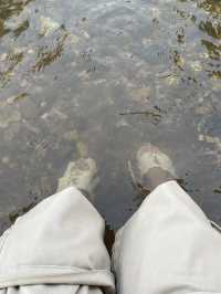 หาดผาสุก | แพร่
