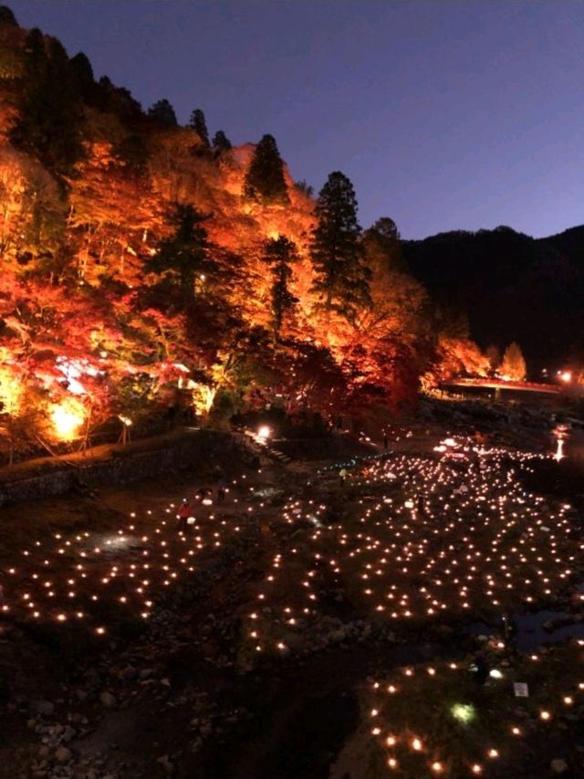 愛知の人気紅葉スポット
