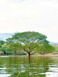 Unseen Chiangmai
