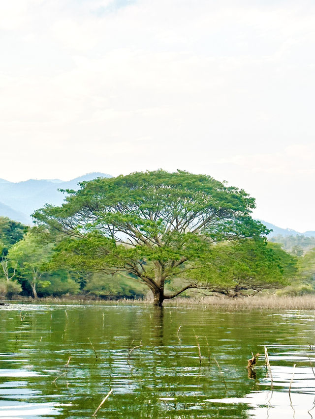 Unseen Chiangmai