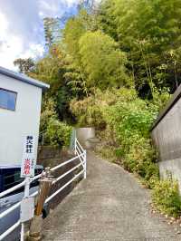 【和歌山県】急勾配の坂と竹林の先にある神社