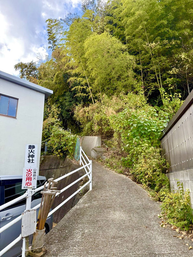【和歌山県】急勾配の坂と竹林の先にある神社