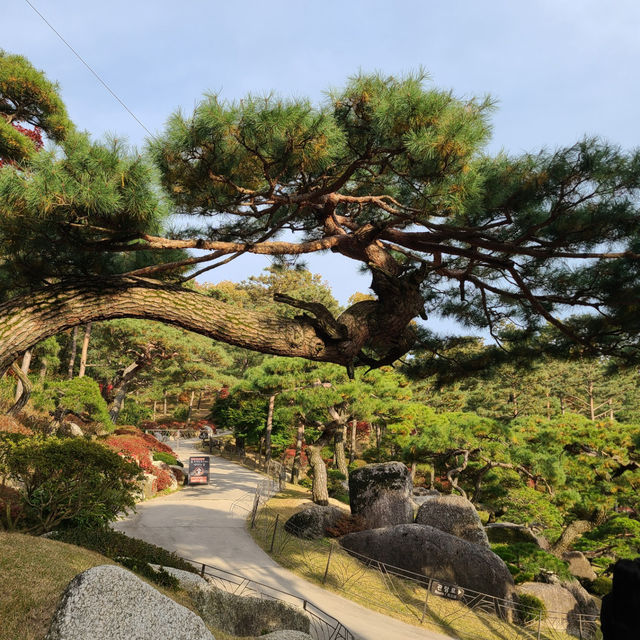 서울 근교 가보기 좋은 곳 추천 ▪️화담숲