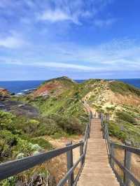 A Breathtaking Coastal Walk at Cape Schanck