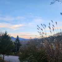 💕🏔️강원도 춘천 서울 근교  제이드가든 