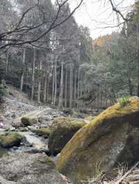 【熊本観光】滝の裏側を見られる！自然が作り出した美しい地形の滝✨️