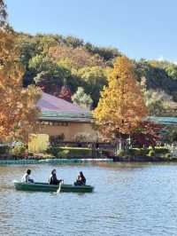 東山植物公園湖泊-多元化水上設施，悠閑享受自然美景
