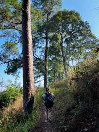 จุดยุทธศาสตร์ที่ 3 อุทยานแห่งชาติดอยขุนตาล 🍃