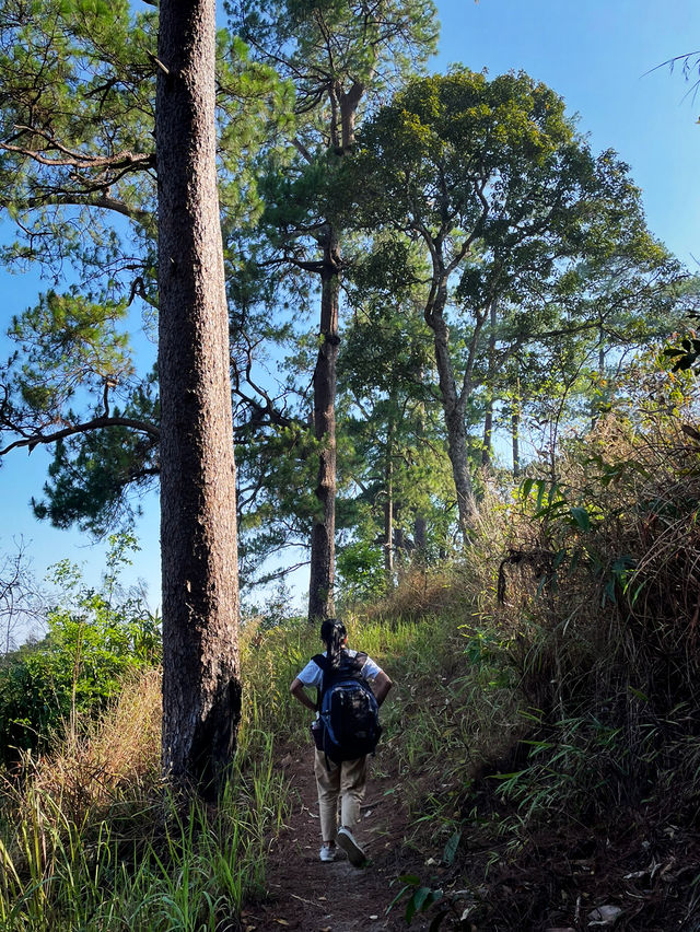 จุดยุทธศาสตร์ที่ 3 อุทยานแห่งชาติดอยขุนตาล 🍃