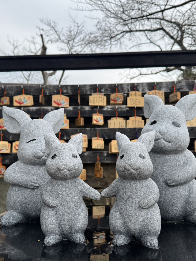 出雲大社：神話與信仰的聖地⛩️✨